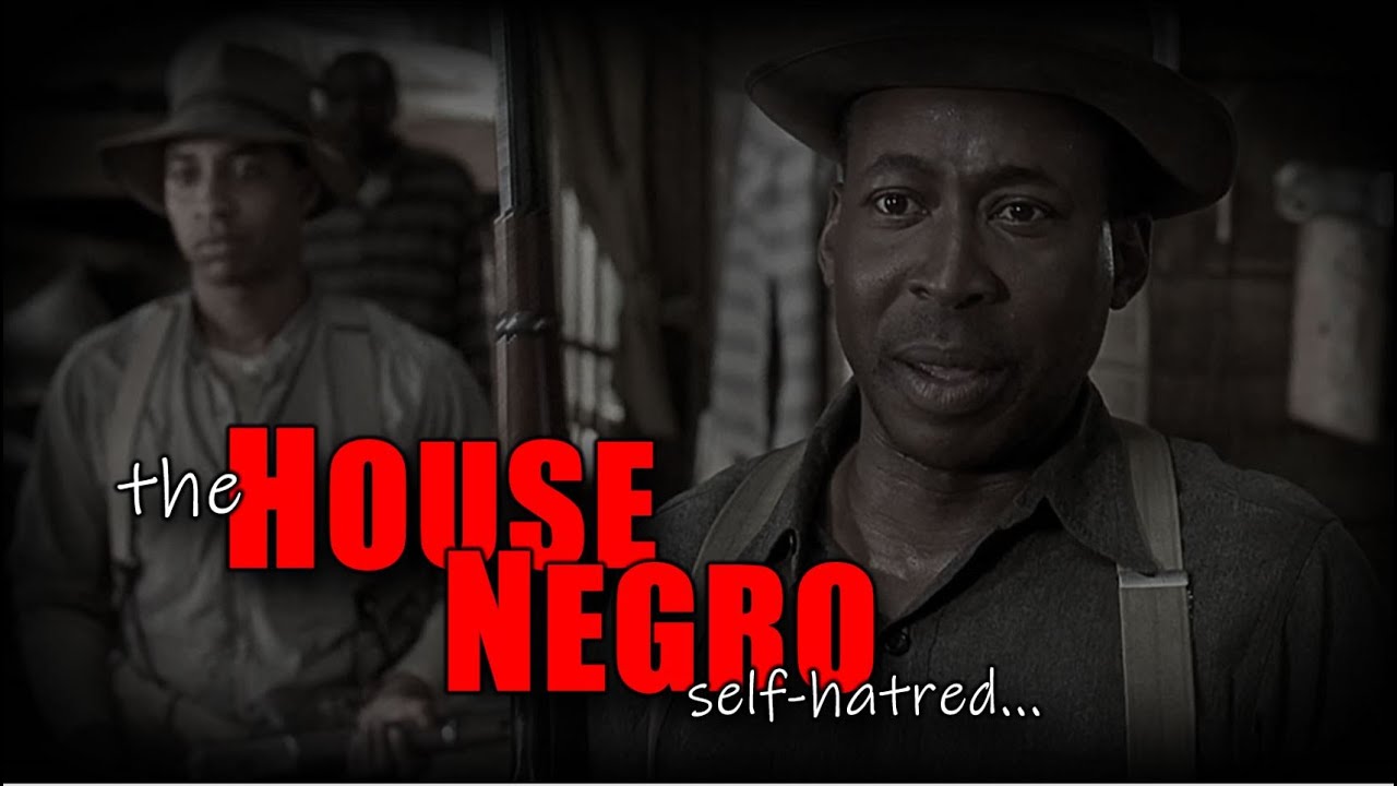 Origin of the House Negro and the Field Negro YouTube