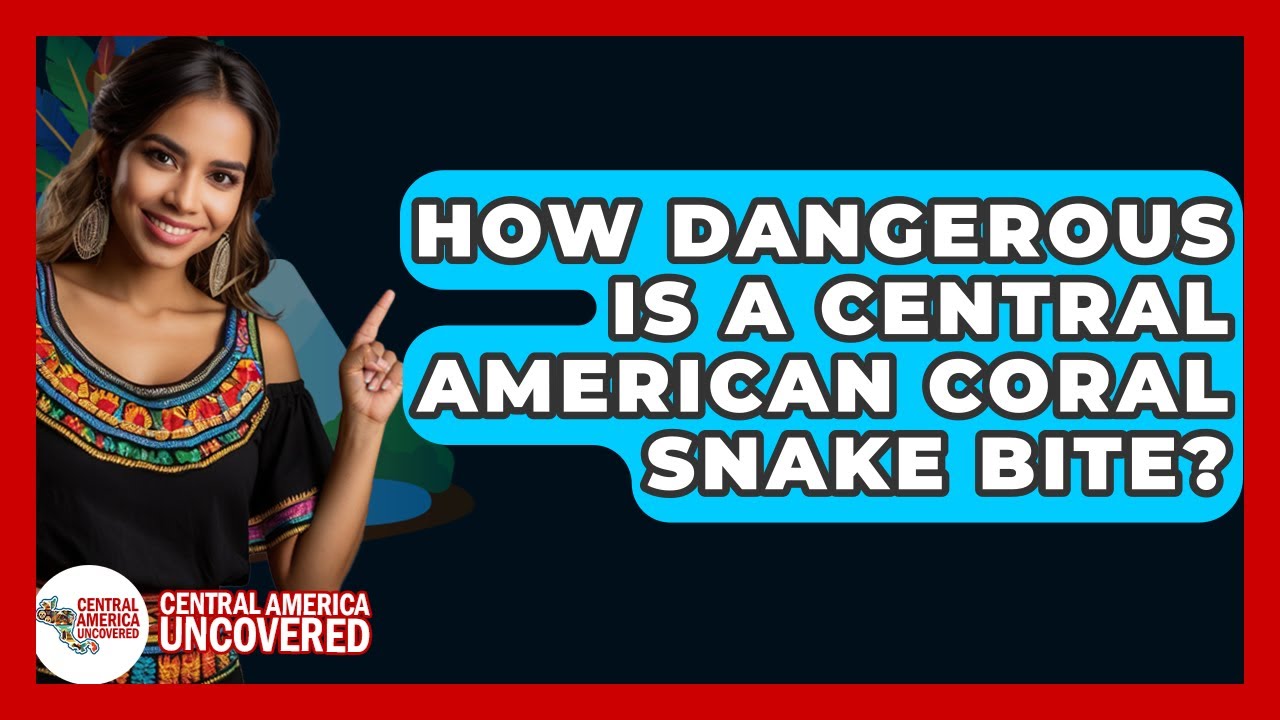 How Dangerous Is A Central American Coral Snake Bite? - Central America Uncovered