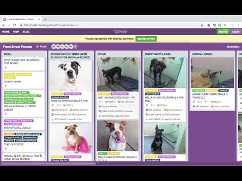 Trello Board Dog Foster Tutorial - Front Street Foster Program thumbnail