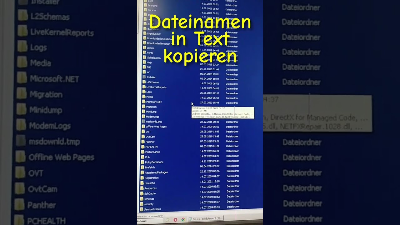 Windows Trick Dateinamen in Textdatei kopieren / exportieren, Dateiliste erstellen