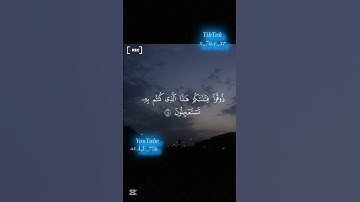 سورة الذاريات يسئلون أيان يوم الدين بصوت الشيخ محمد اللحيدان اسمع كيف تلاها.