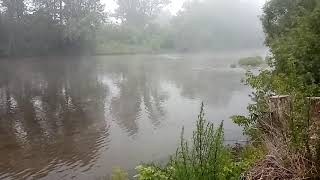 Туман утром над рекой (релакс видео)