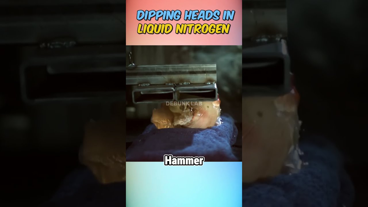  Can A Head Really Shatter Like Glass After Liquid Nitrogen Dip