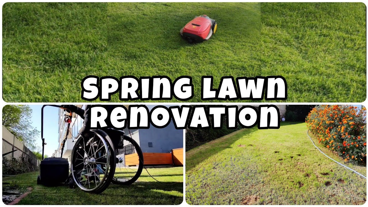 THE ♿ GREENKEEPER Spring lawn renovation / Destroy your lawn