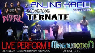 NTRL & ANJING KACILI GUNCANG TERNATE - BASSGILANO