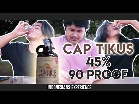 Experience Indonesia : Cap Tikus
