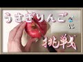 【3万人記念】リンゴと戦ってきたｗｗｗ【手元】