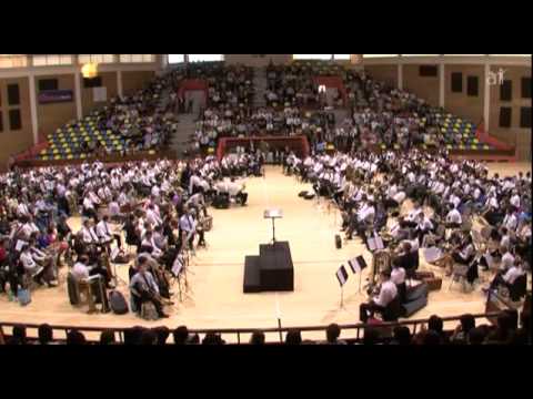 Gala Festivalului Naţional de Fanfare - Arad, Sala Sporturilor 2011