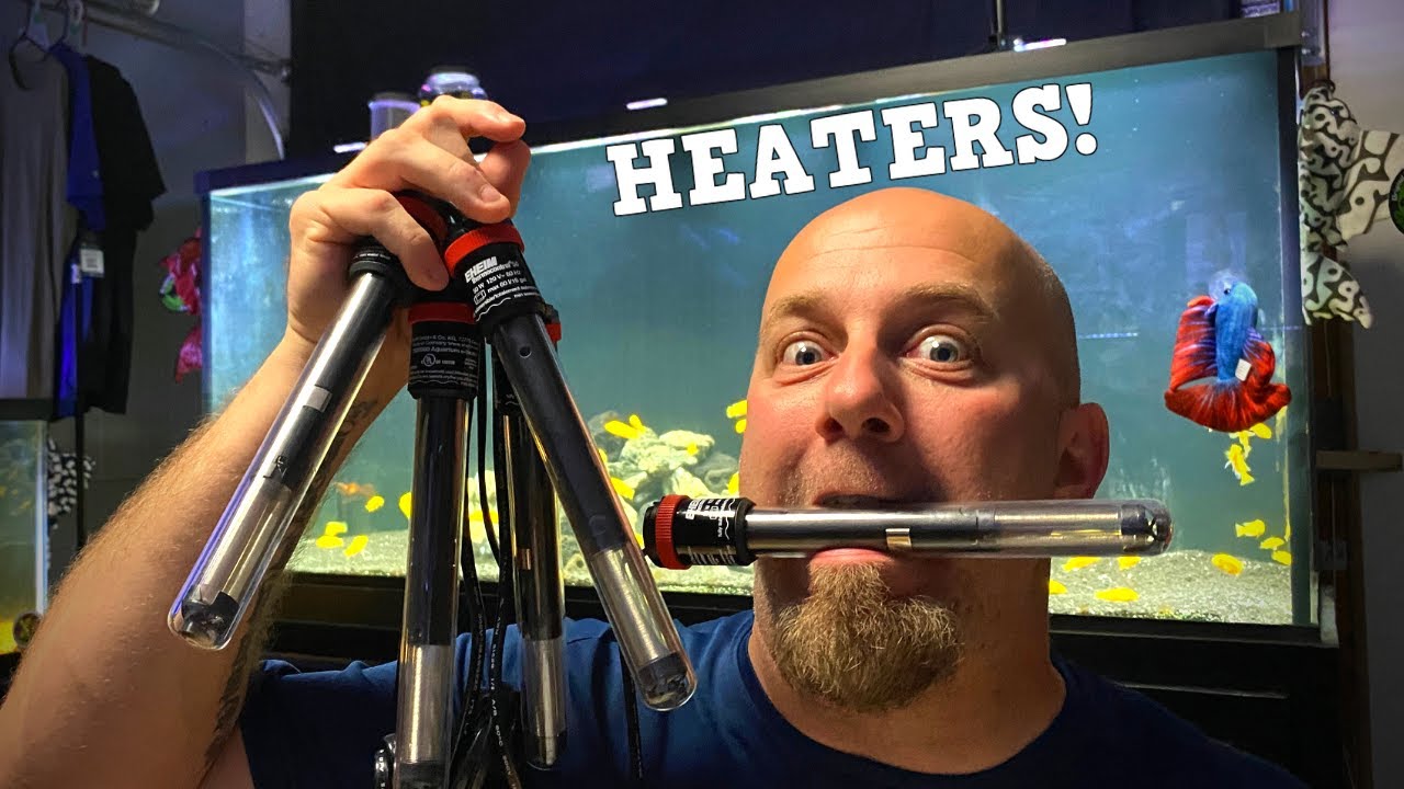 Can Aquarium Heaters Be Used Outside?