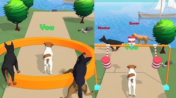 🐕🐕‍🦺 Dog Run - Fun Race 3D All Levels gameplay walkthrough Lvls 3-5 Android games