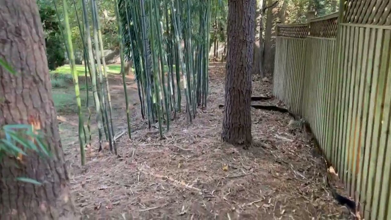 Bamboo Containment - Franklin Lakes, NJ   Containment 03 AFTER