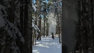 winter, ily ❄️🌲 #winterhike #snow #winterroutine #vlogger