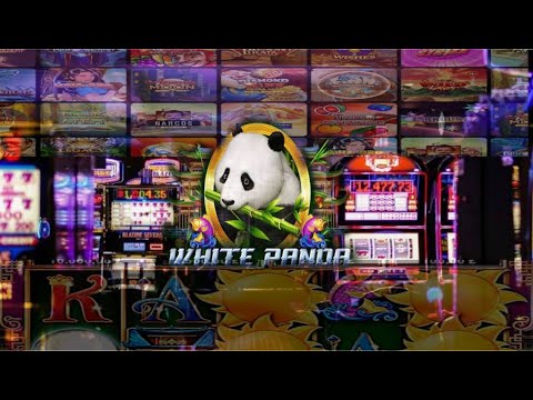 Gobernación en completo desorden por Casinos - Martinez Serrano