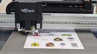 C60 video in the exhibition