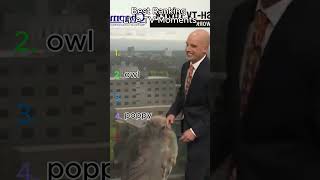 Top 5 Embarrassing Celebrity TV Moments 🌟#1 is painful#CelebrityFail #StarMoment #TVStars