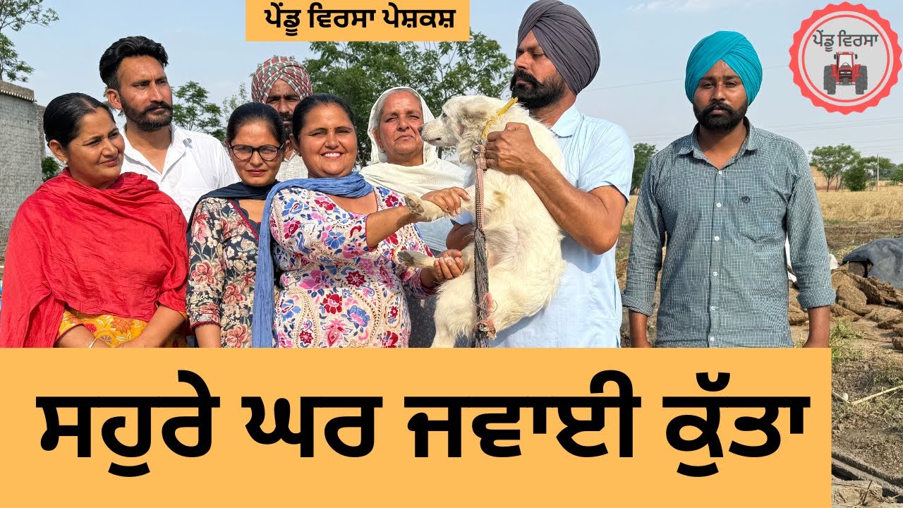 ਸਹੁਰੇ ਘਰ ਜਵਾਈ ਕੁੱਤਾ ep 342 |New Punjabi Short movie | Natak | Sukhpal Video |@PenduVirsaMansa