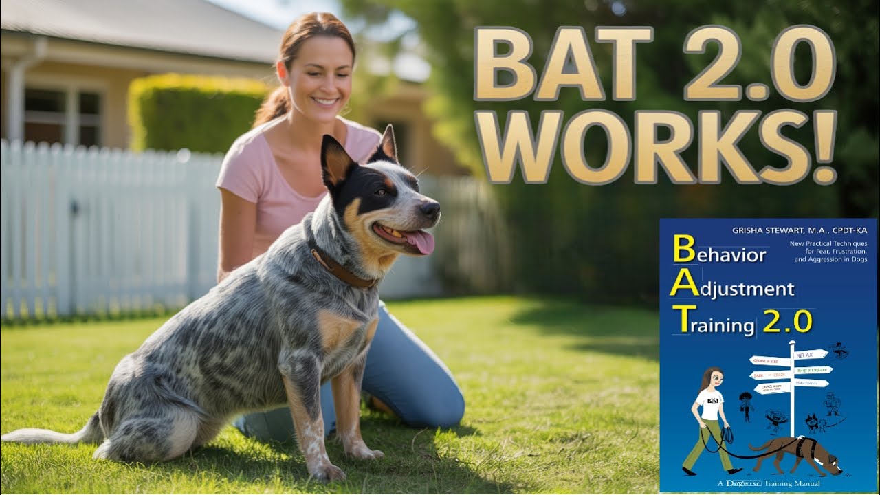 Revolutionize Herding Breeds with BAT 2 0 Reactive Dog Training?
