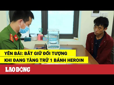 Video Yên Bái: Bắt giữ đối tượng khi đang tàng trữ 1 bánh... - youtube