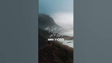 ماهر المعيقلي - سورة البقرة ( برواية حفص عن عاصم ) الأية 228