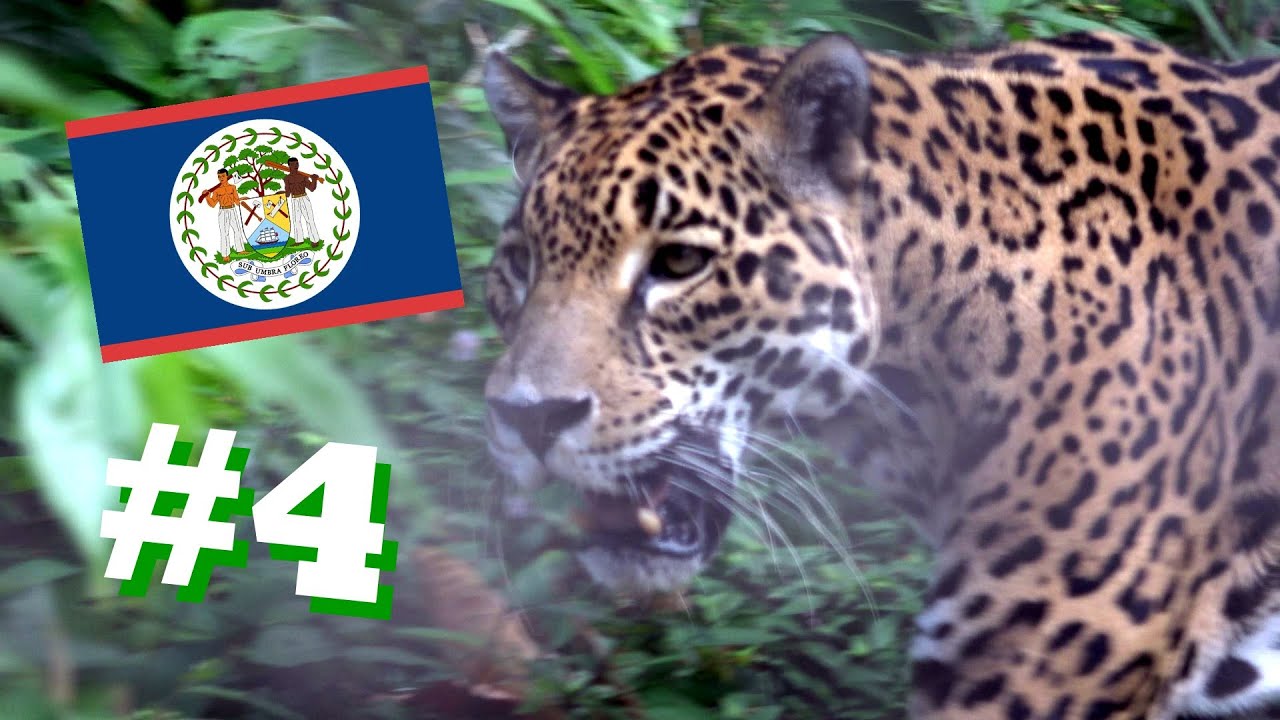 Un-Belize-Able | Celebrity Travel Vlog Series #4