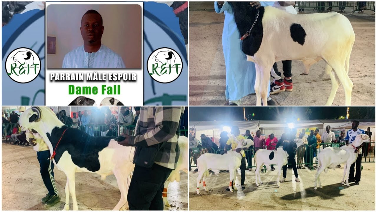 CONCOURS  MALES ESPOIR FOIRE REIT 2026