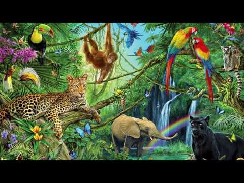 Tropical House Kygo Style 