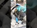 car i10 servicing show repair carshorts ￼￼￼