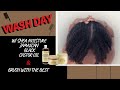 3C/4A WASH DAY 💦| Shea Moisture Jamaican Black Castor Oil | Brush With The Best Detangling Brush