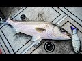 Big Bait Addicts |  who’s got it?