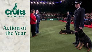 Police Dog Team Operational and Humanitarian Action of The Year Award | Crufts 2024 by Crufts 5,739 views 3 weeks ago 3 minutes, 36 seconds