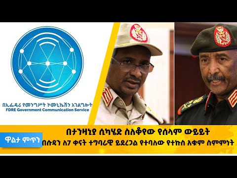 ቪዲዮ: ከቲሞፌይ ፓንቴሌቪች uneኔቭ ጋር ውይይቶች። 