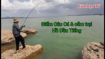 Câu cá tự nhiên hồ dầu tiếng | điểm câu cá và cắm trại đẹp như biển vũng tàu @Câu Dạo Tv