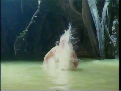 〘懐かCM〙1991年 ピップフジモト『ダダン(ver.1)』レジー・ベネット