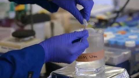 Unboil an Egg Process - UC Irvine (short)