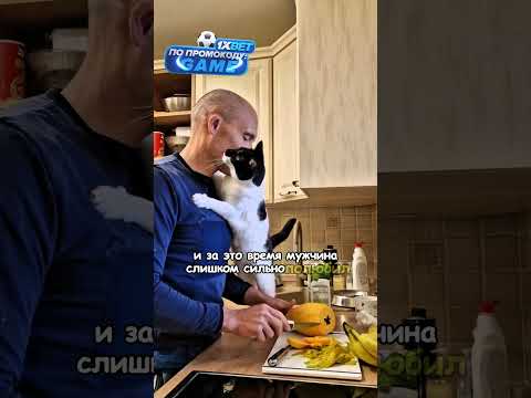 Мужчина спас котика🥰