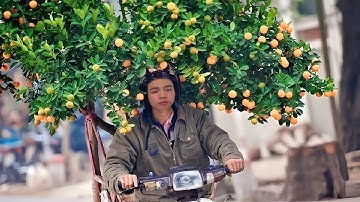 CẮT ĐÔI NỖI SẦU - TĂNG DUY TÂN / HOÀNG ĐỨC COVER | Music Video