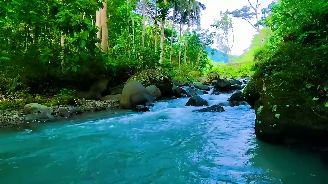 Ambient Water Sounds of a Flowing Stream | Nature White Noise for Sleep, Focus, and Healing