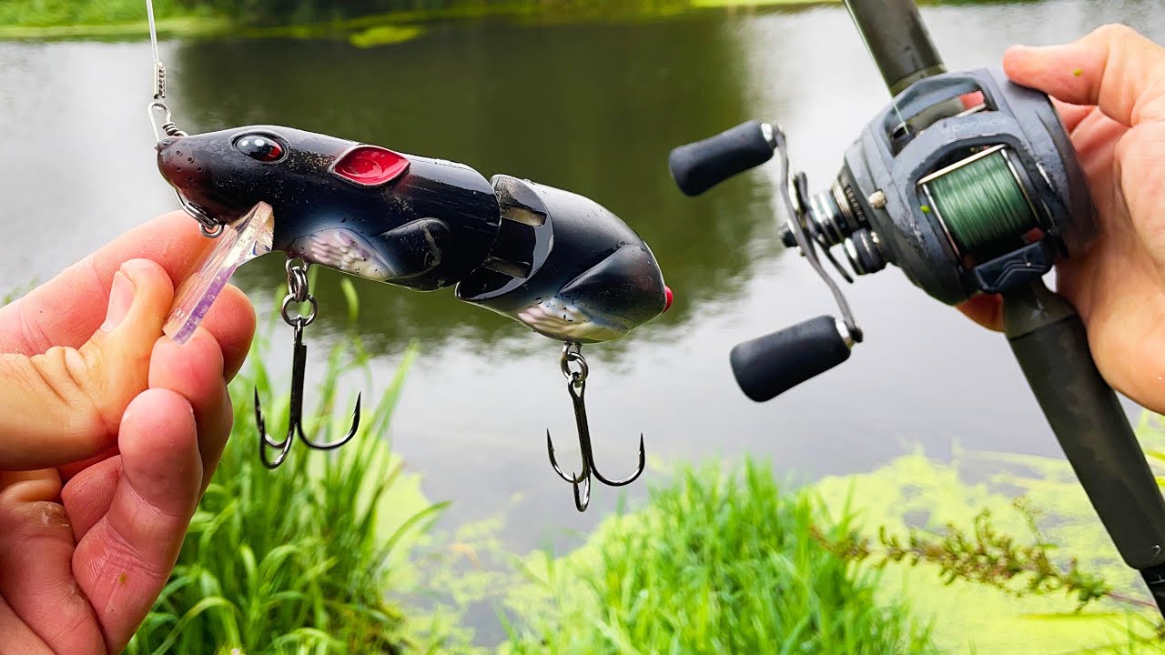 Topwater River Fishing with a RAT LURE! 