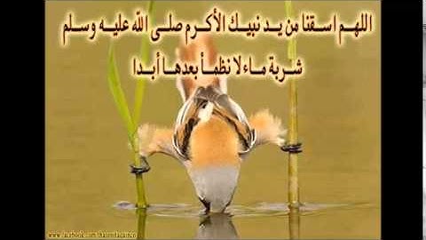 ابداع رقيق عبد الكريم / من سورة المؤمنون
