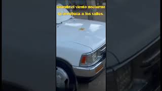 Yo Quisiera Ser Esa Hoja Caída #shorts