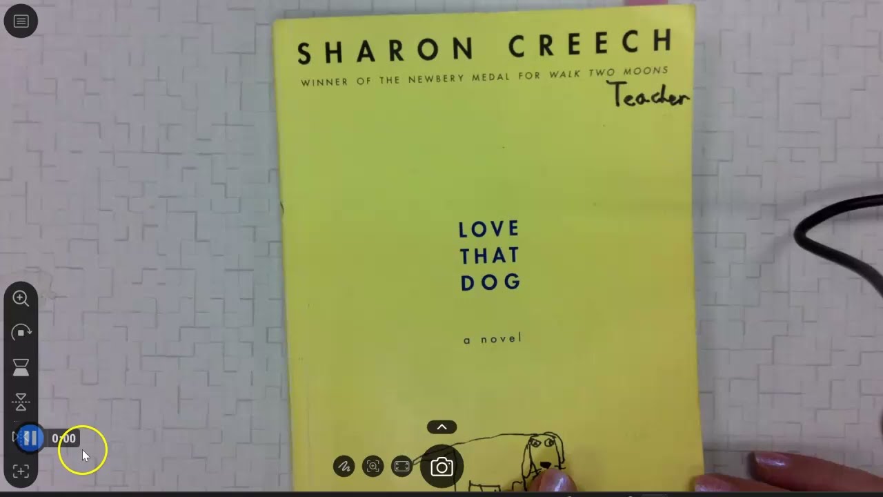Love That Dog pages 25-27