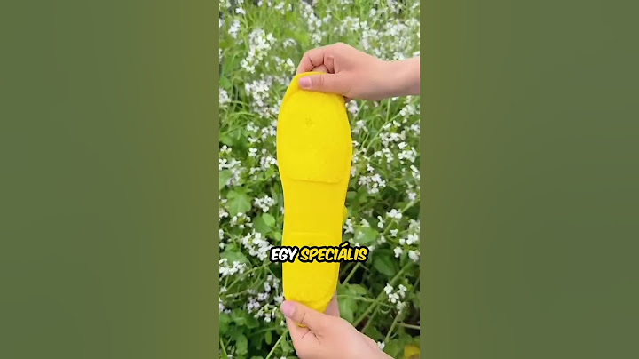 Hogyan fedjük le a cipőinket esős napokon 🤯