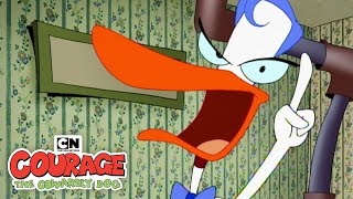 Paging Dr. Le Quack!  | Courage the Cowardly Dog | Cartoon Network