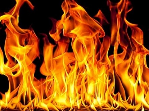 ZFire Z's broadcast
