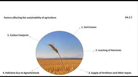 04  Sustainable Harvesting