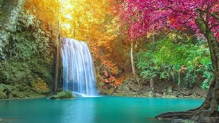 Soft Music for Concentration Pokemon  | Relaxing Music Collection for Positive Energy-Pokemon(Vol-3) screenshot 2