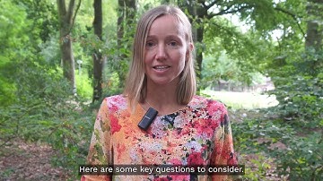 Impact Café | How do you communicate the impact of social inclusion interventions?