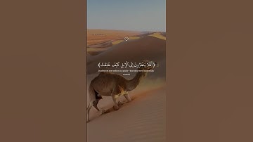 أفلا ينظرون إلى الإبل كيف خلقت، بصوت عبد الرحمن مسعد، سورة الغاشية، أرح قلبك ❤️‍🩹🎧#قرآن #quran