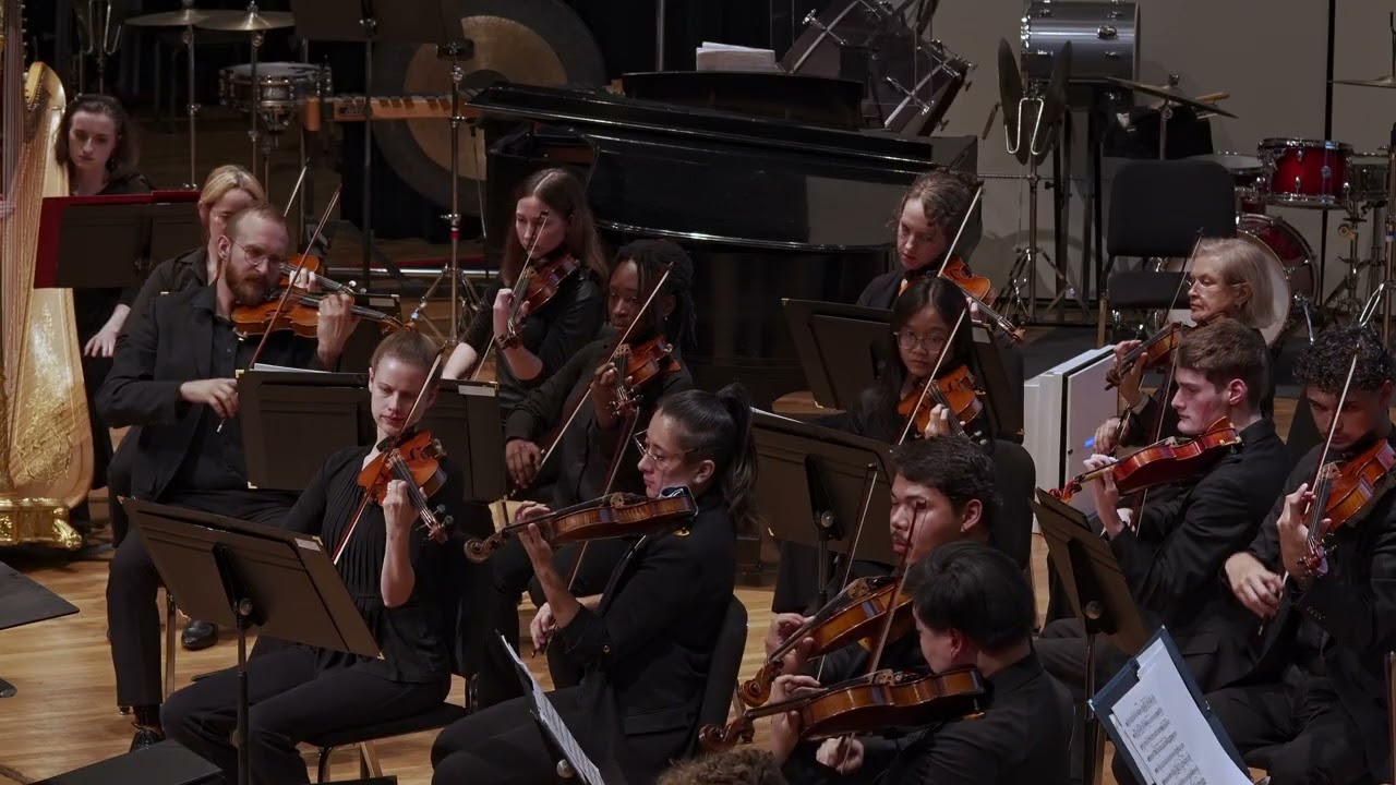 Valdosta Symphony Orchestra Handel Orchestra Cut Valentines Day Promo