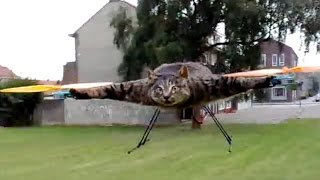 When Animals Attack Drones Super Compilation by Comedy For Profit 46,171 views 8 years ago 4 minutes, 3 seconds